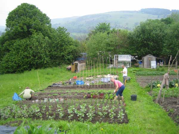 Allotment 1