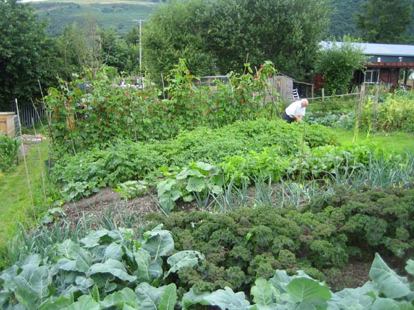 Allotment 18