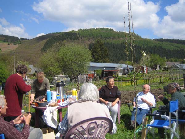 Allotment 19