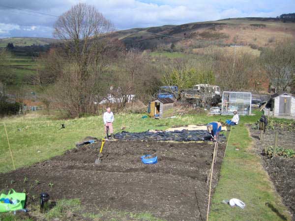 Allotment2