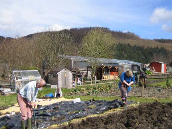 Allotment 4