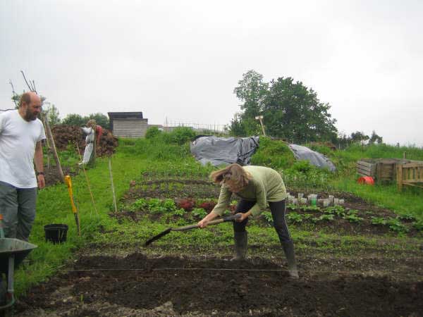 Allotment 5